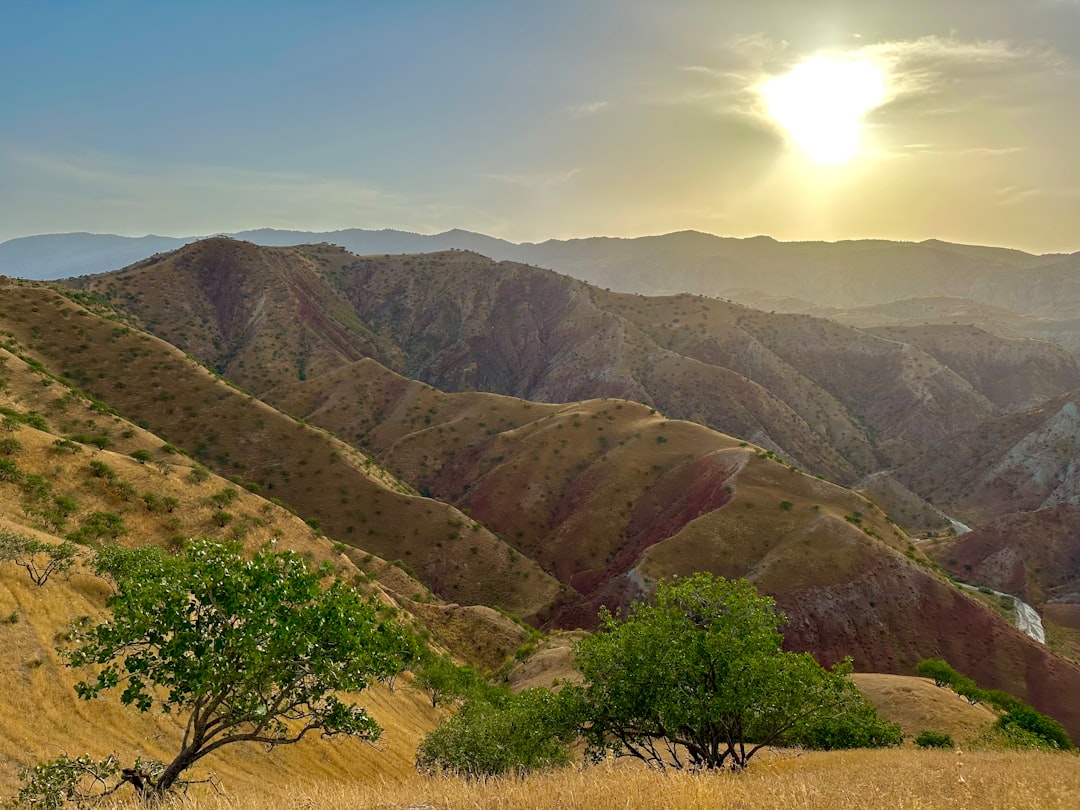 Uzbekistan Wi-Fi Guide: Find the Best Hotspots & Stay Connected During Your Travels