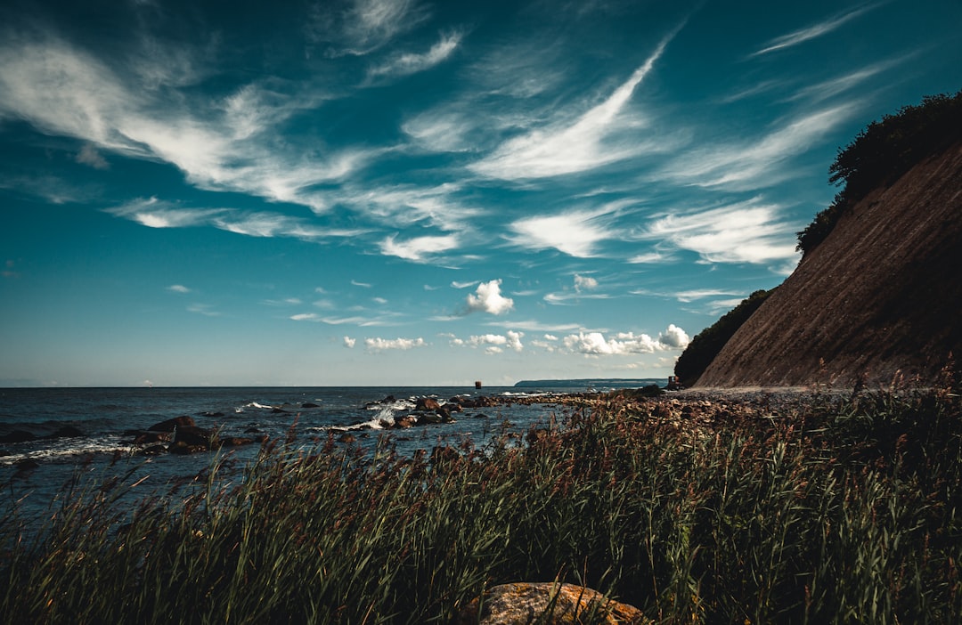 Discover Jersey's Top Bird Watching Spots: An Ultimate Guide for Enthusiasts
