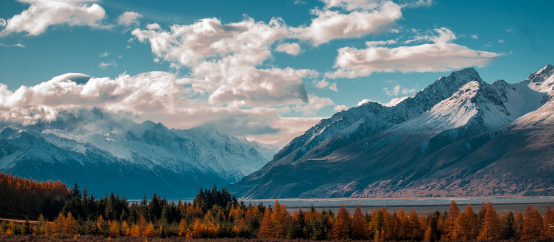 Conquer the Heat: Your Ultimate Guide to a Sizzling Summer Visit at Global