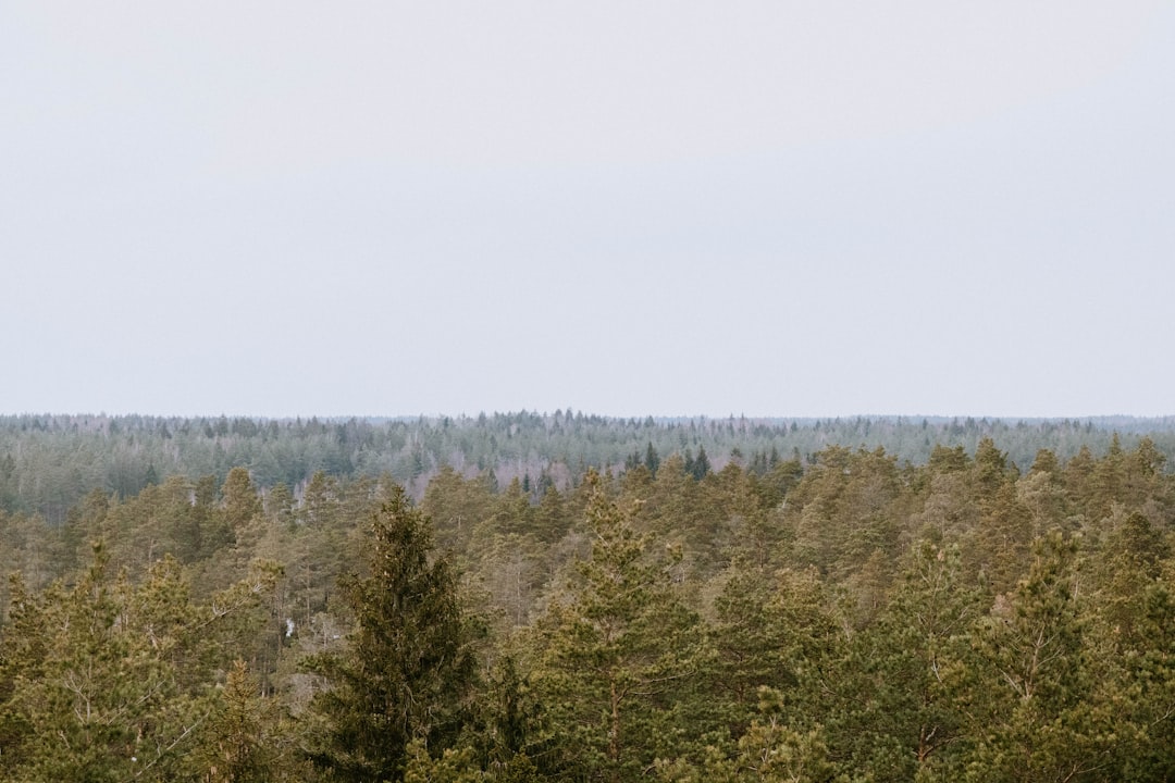Exploring the Local Supermarkets: What to Buy in Latvia