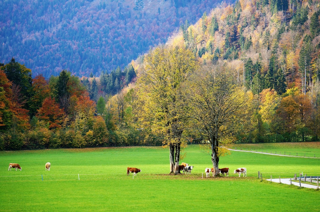 Sustainable Germany Travel Guide: Plan Your Eco-Friendly Itinerary