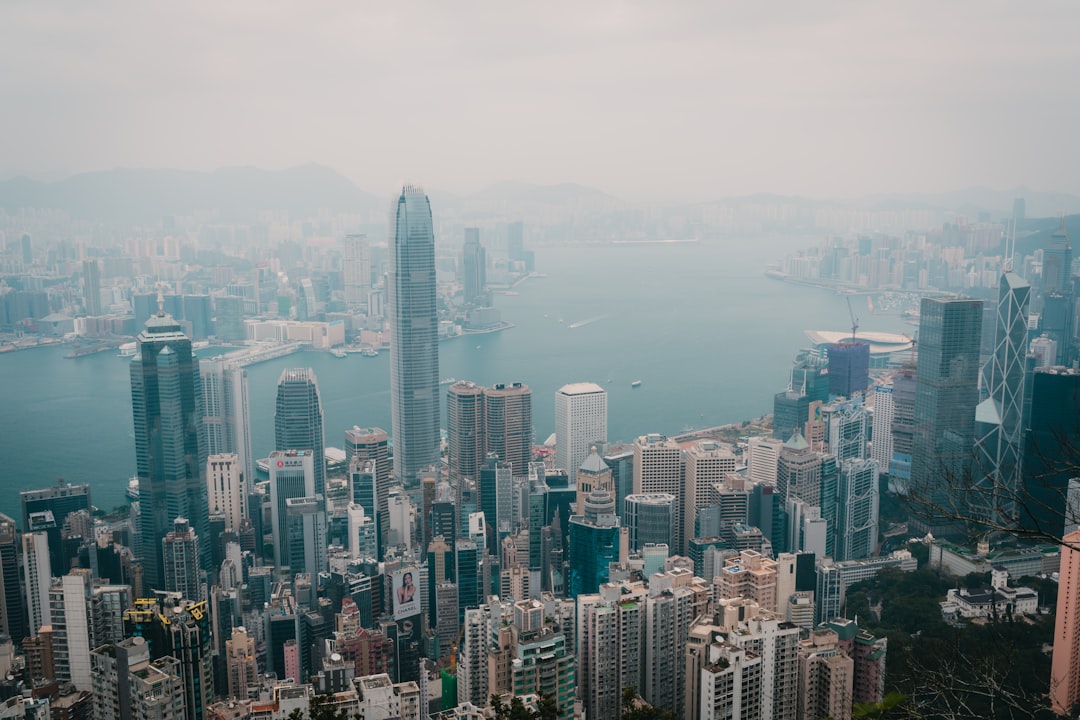 Unforgettable Encounters: Your Guide to Whale & Dolphin Watching in Hong Kong
