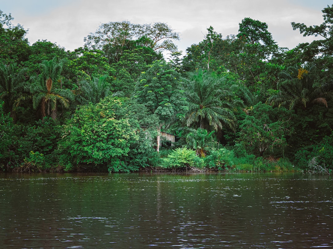 Discover Gabon's Most Breathtaking Scenic Walkways: Nature Trails & Coastal Paths