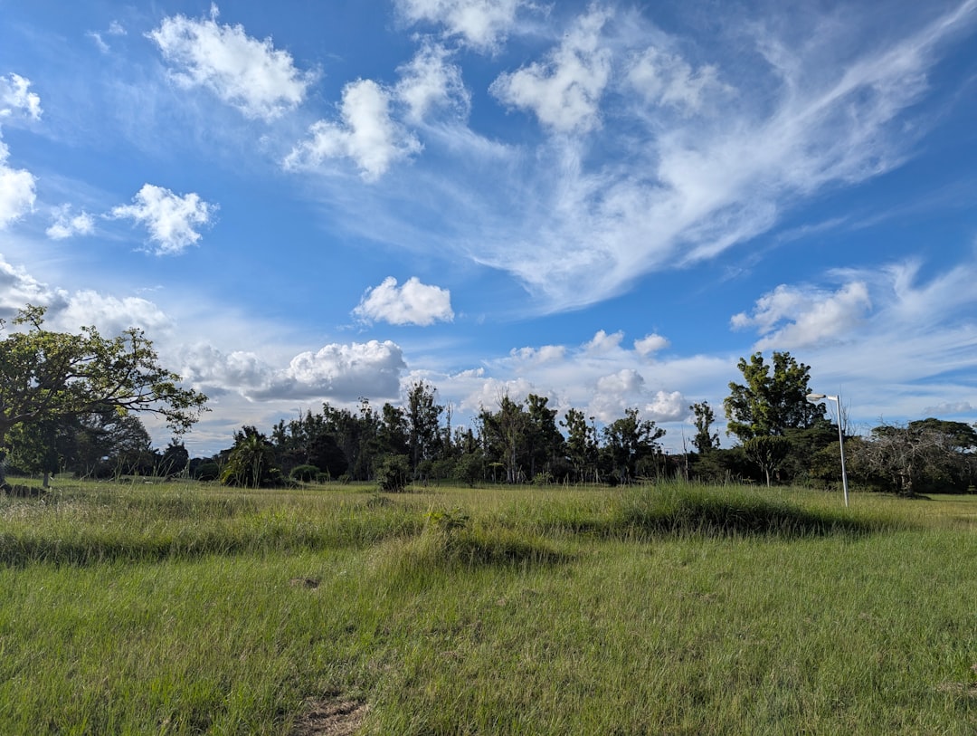 Top 5 Luxury Resorts for a Dream Vacation in Zambia