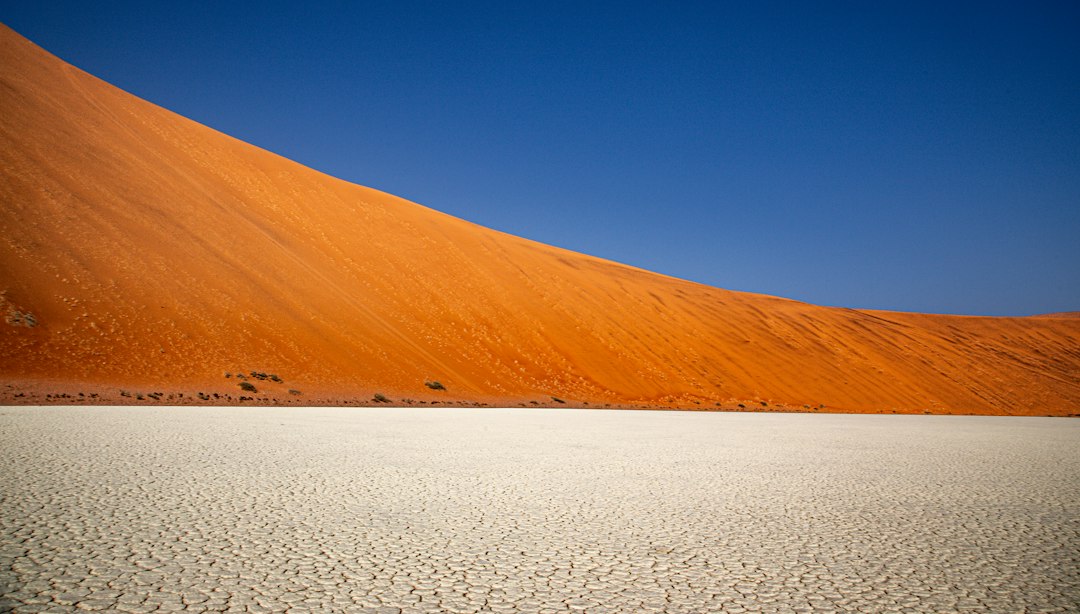 Navigating Namibia's Post Offices: Your Essential Guide to NamPost Services