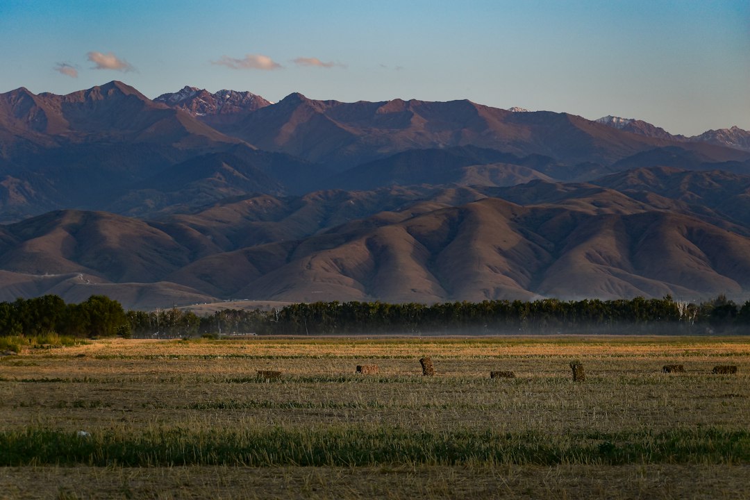 Soar Above the Steppe: Unveiling Kazakhstan's Top Paragliding & Skydiving Destinations