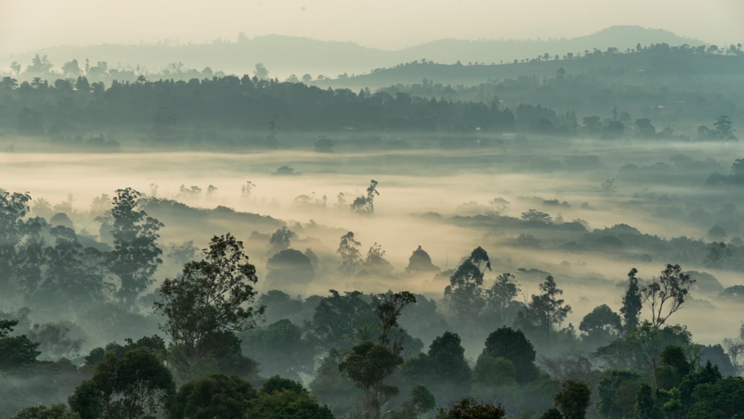 Essential Guide: Staying Healthy and Sickness-Free in Cameroon