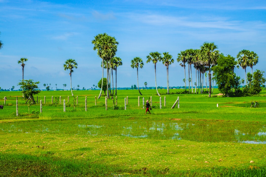 How to Use Local Vending Machines in Cambodia: A Comprehensive Guide