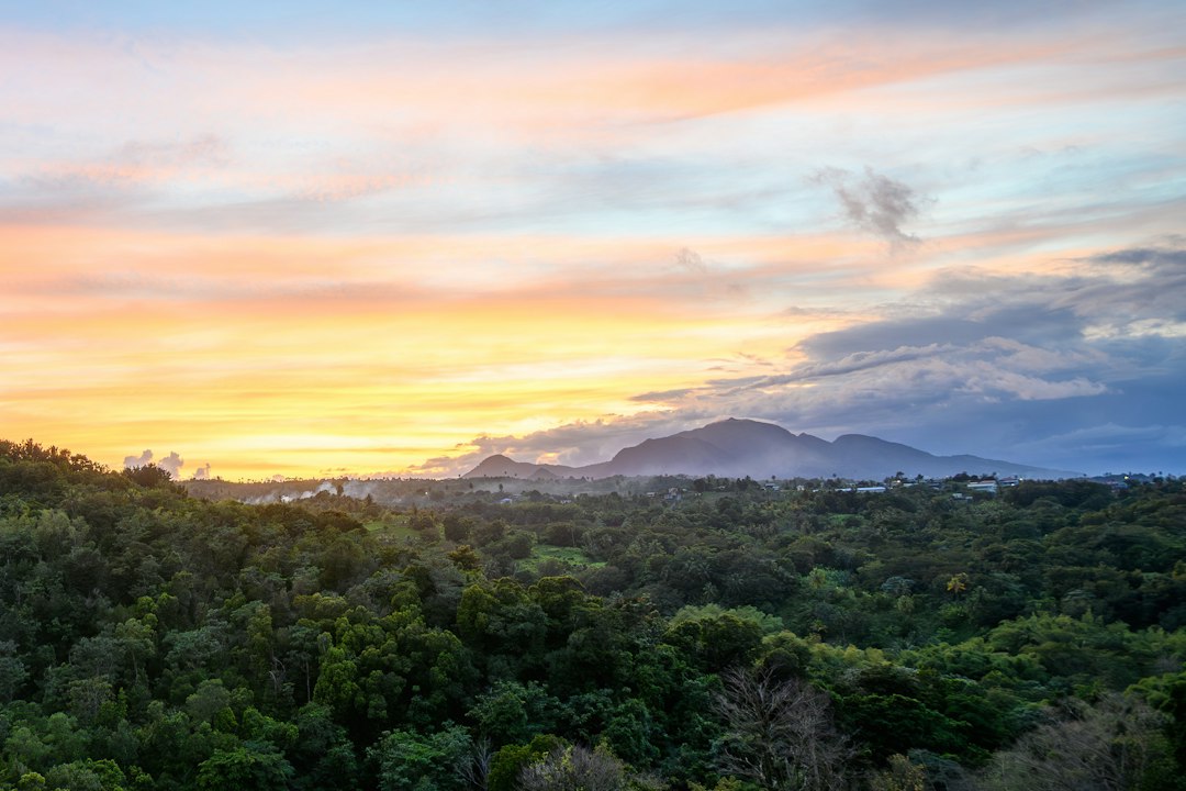 Top 7 Hidden Gems in Dominica You Won't Find in Guidebooks