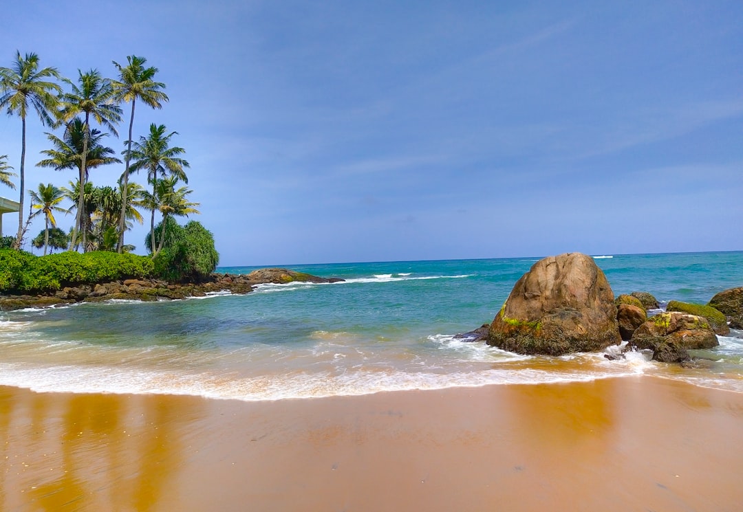 Soar Above Paradise: Your Ultimate Guide to Paragliding & Skydiving in Sri Lanka