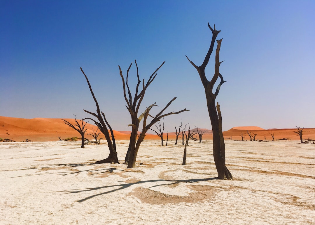 Your Essential Guide to Public Restrooms in Namibia: What Tourists Need to Know