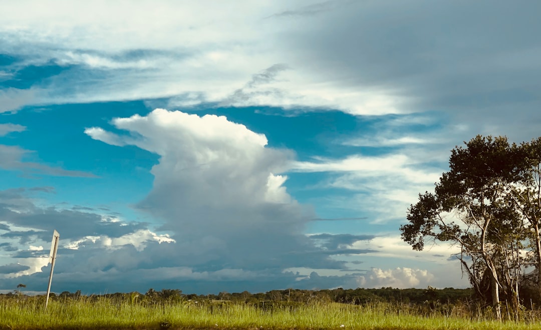 The Best Places for a Scenic Train Ride in Guyana