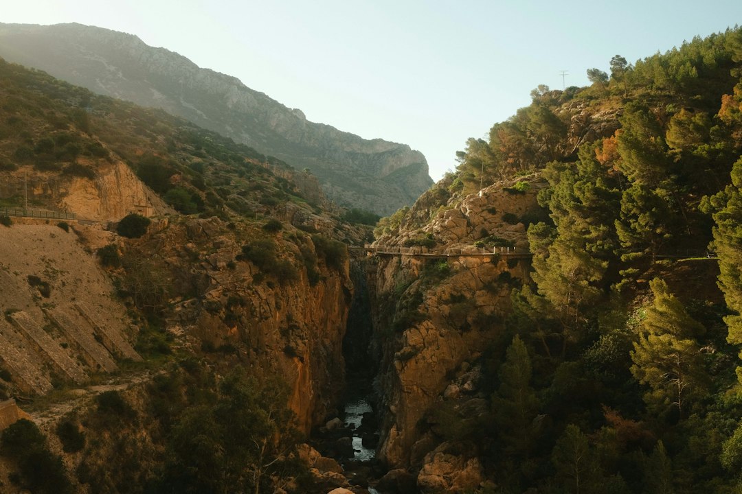 Solo Female Travel Spain: Your Ultimate Budget Guide for an Unforgettable Adventure
