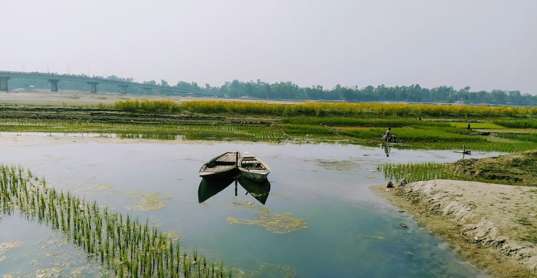 Discover Bangladesh's Most Vibrant Flower Markets: Your Ultimate Guide to Local Blooms