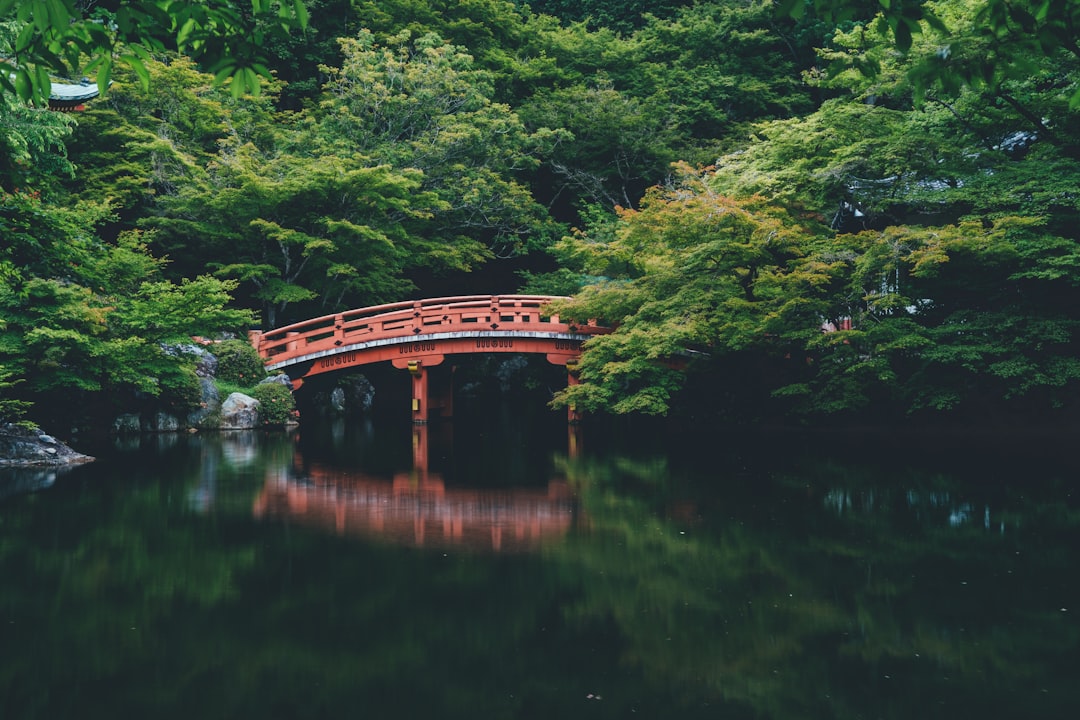 Unveiling Japan's Hidden Gems: A Deep Dive into Its Unique Underground Subcultures