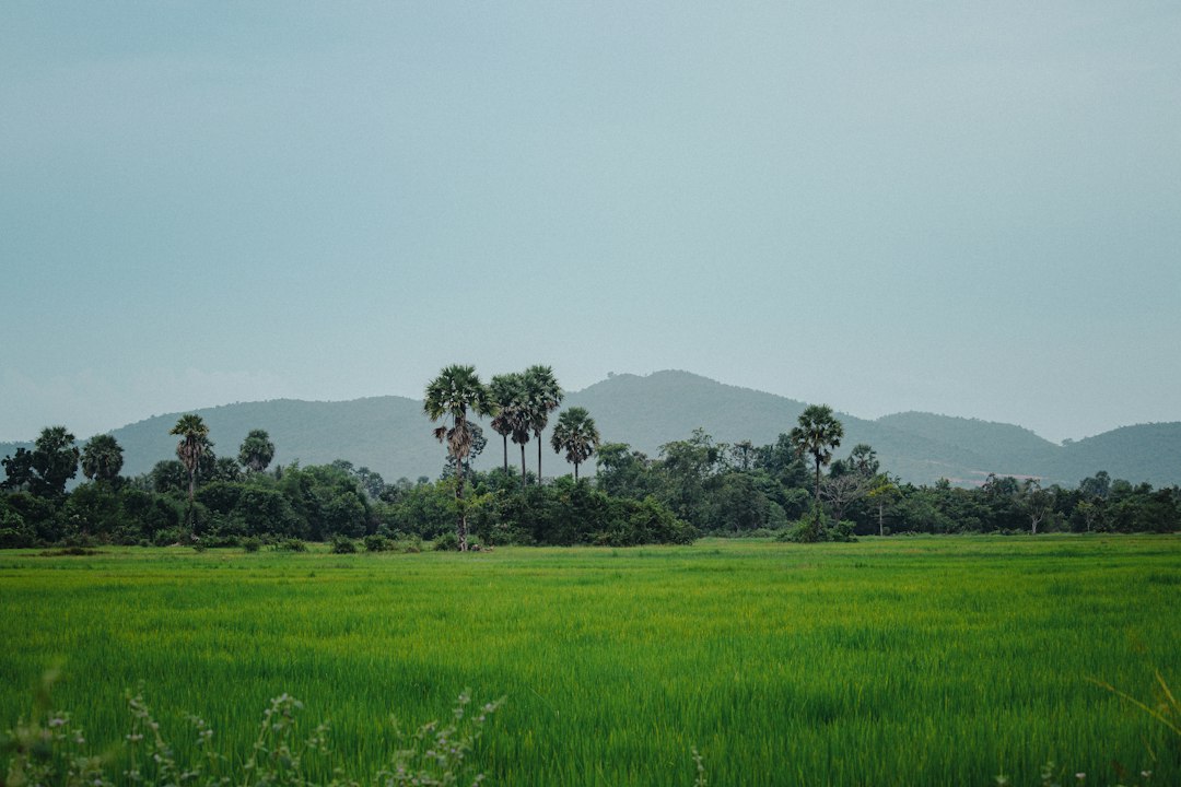 Your Essential Guide to Using Public Toilets in Cambodia