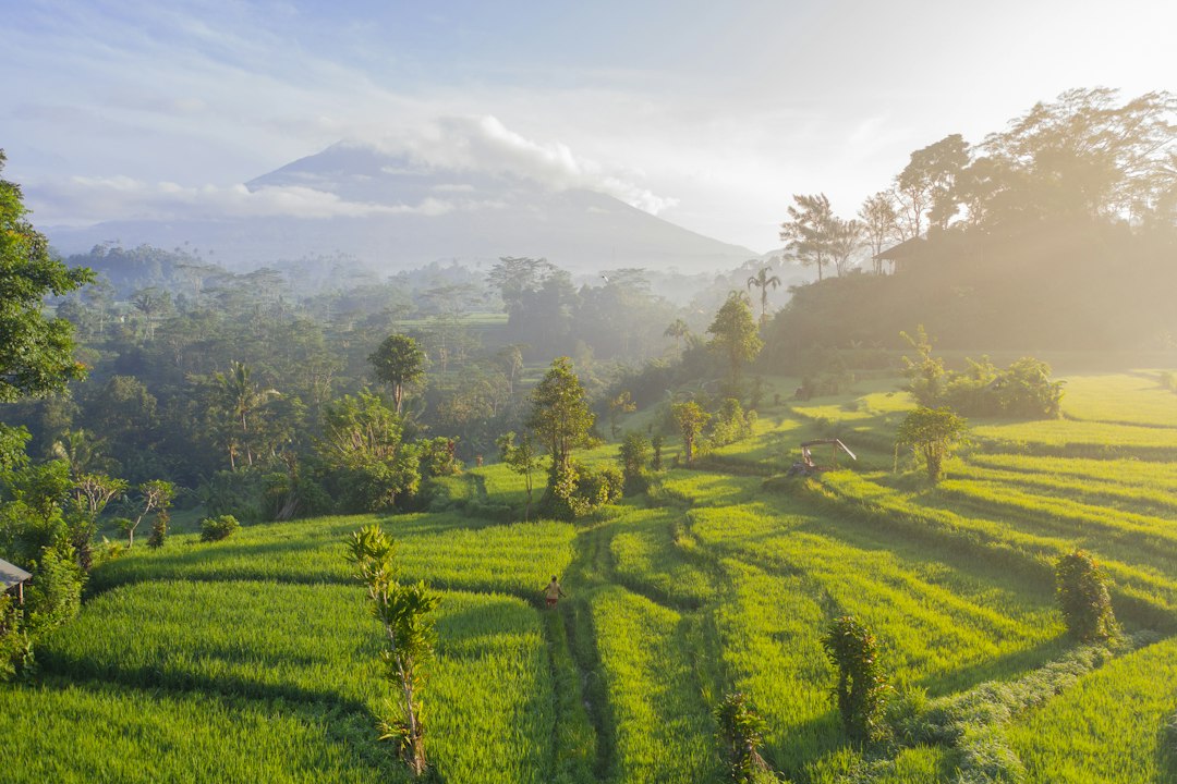 Discover Indonesia's Iconic Skylines: A Guide to Famous City Towers
