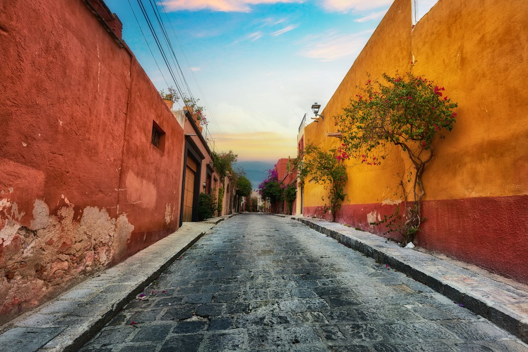 Ultimate Guide: How to Get a Local SIM Card & Data in Mexico for Seamless Connectivity