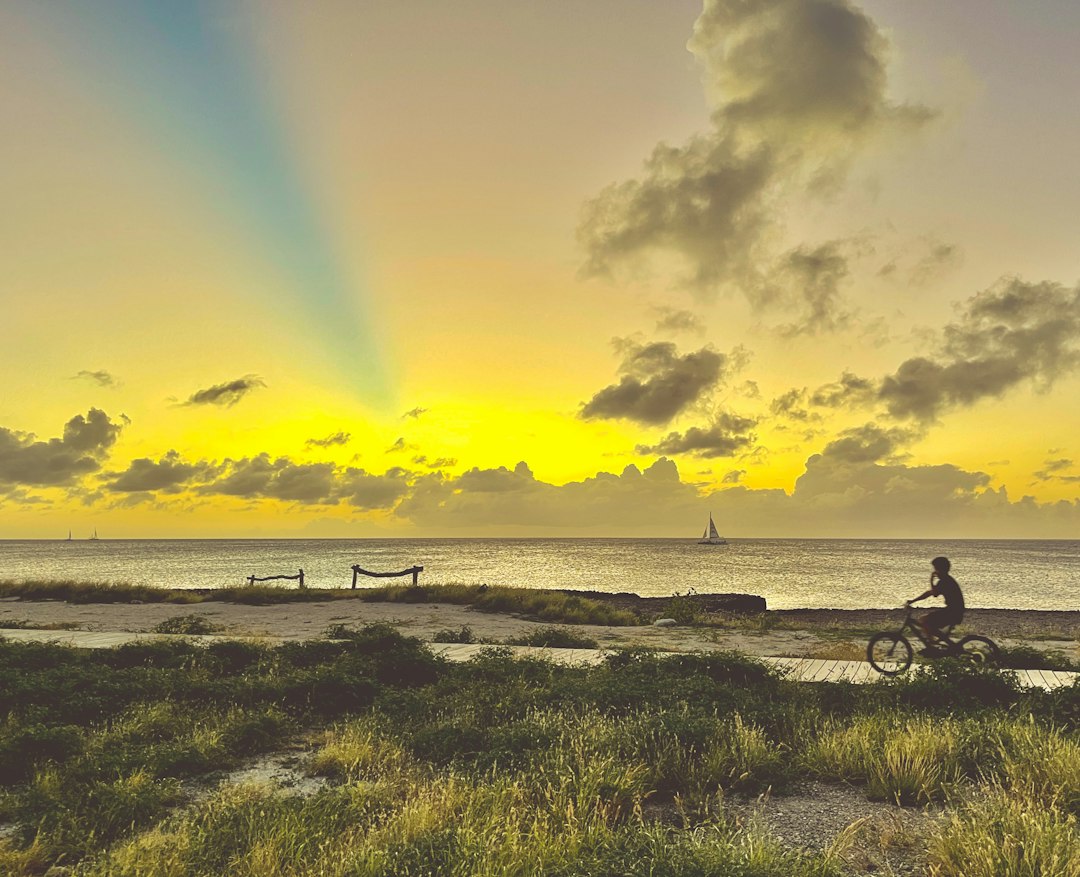 Exploring Aruba on a Moped: Tips for a Two-Wheeled Adventure