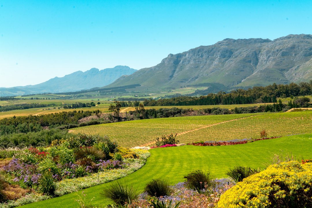 Unearthing South Africa's Ghostly Secrets: A Haunting Travel Guide