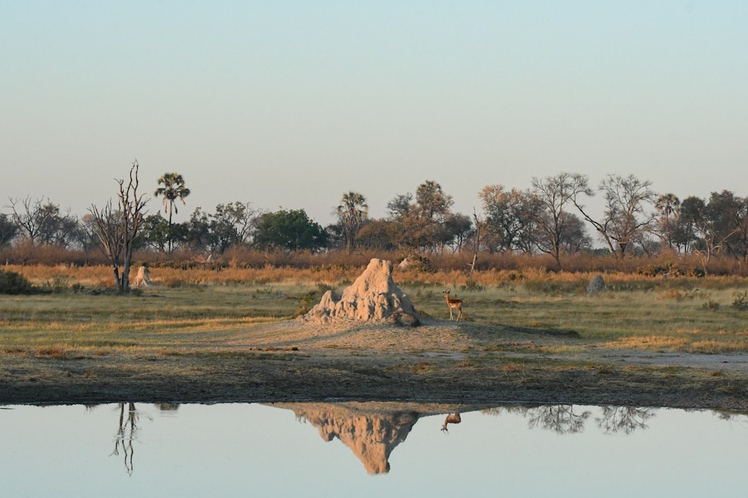 Discovering Botswana's Sacred Sites: A Guide to Religious Landmarks and Temples