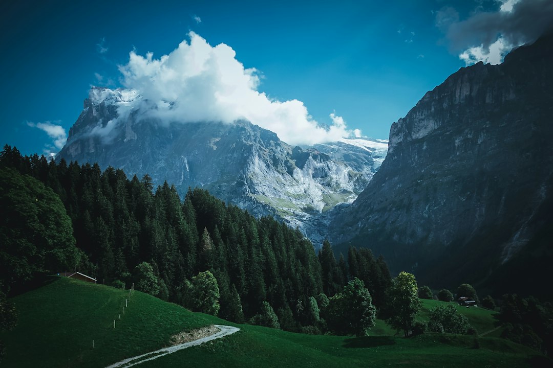 The Best Public Parks and Gardens for a Relaxing Afternoon in Europe Lite