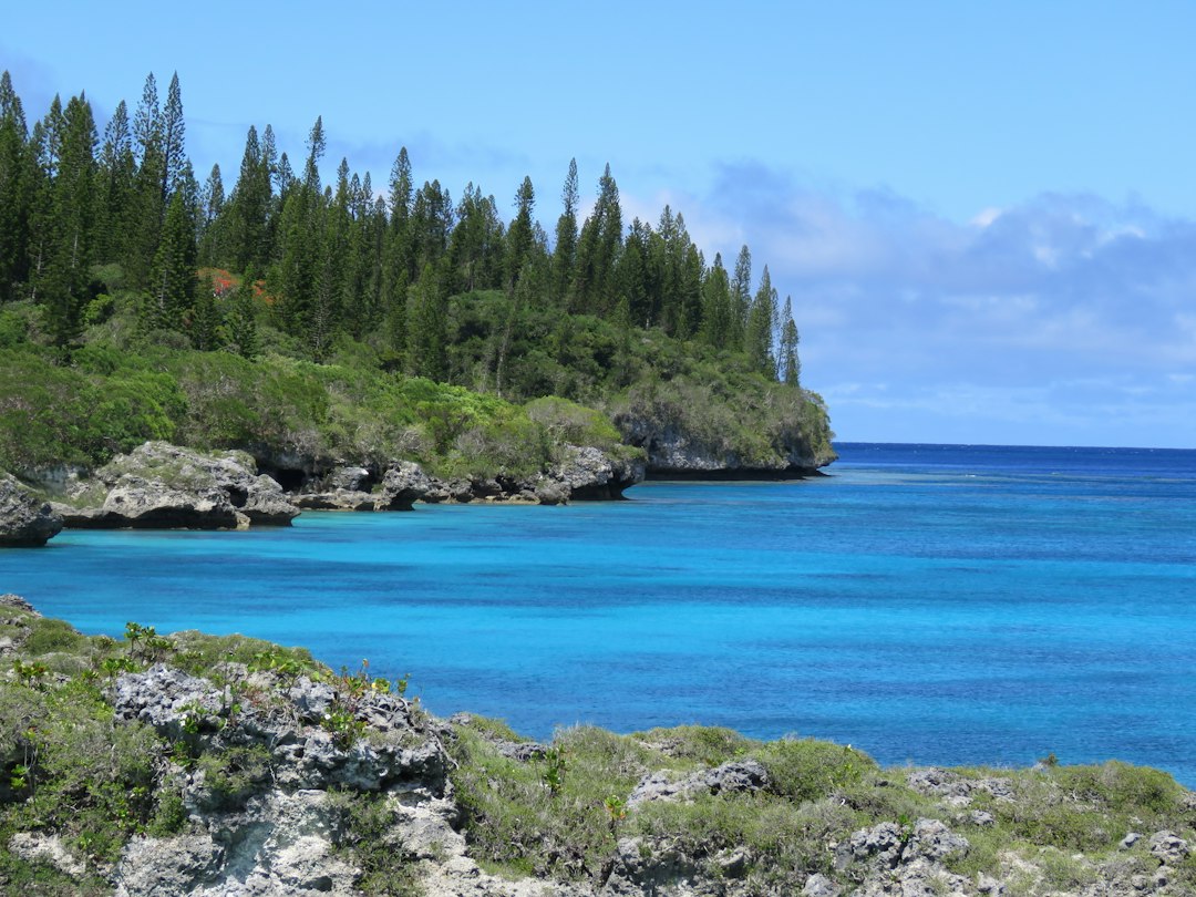 Discover Bermuda's Vibrant Street Performers & Buskers: A Guide to Island Entertainment
