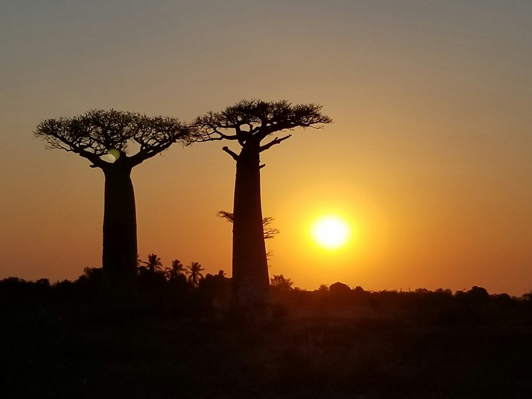 Top 7 Hidden Gems in Madagascar You Won't Find in Guidebooks