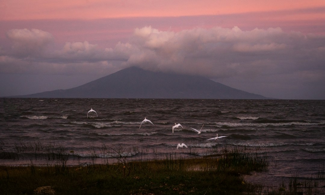 Scoop into Paradise: Your Ultimate Guide to Nicaragua's Best Local Ice Cream