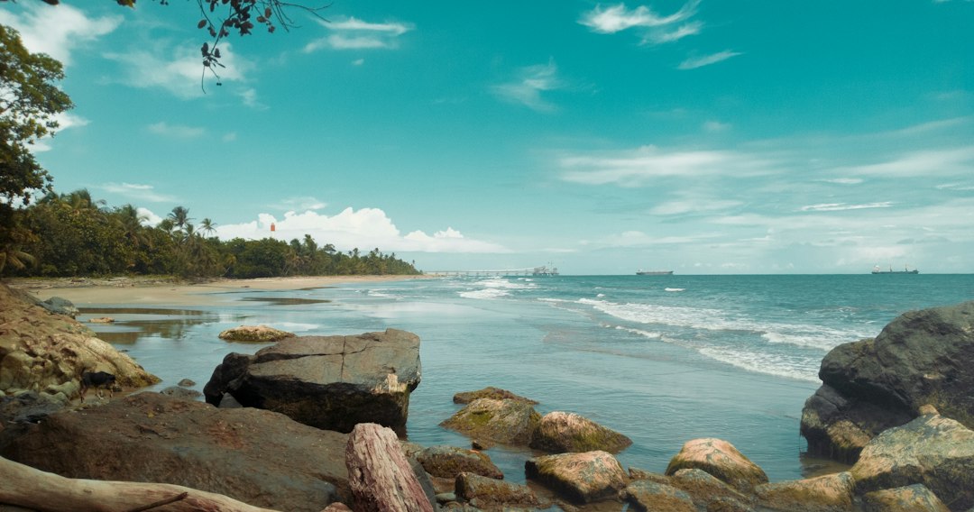 A Culinary Journey: Must-Try Traditional Dishes in Panama