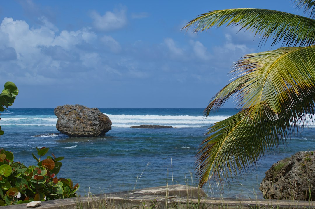 Discover the Best Snorkeling & Diving in Barbados: An Underwater Paradise Awaits