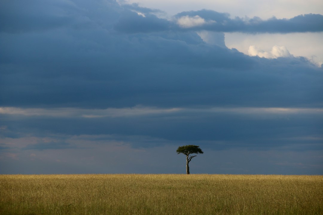 Unforgettable Honeymoons: Discover Kenya's Most Romantic Destinations