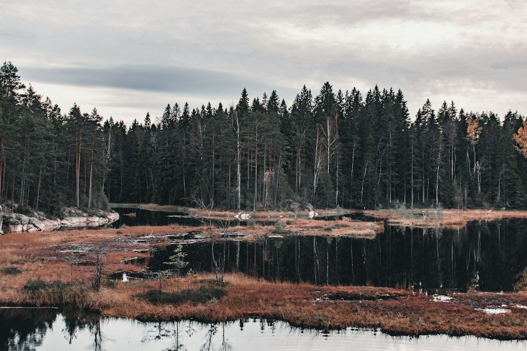 Finland's Hidden Gems: Top Scenic Bus Routes for Breathtaking Landscapes