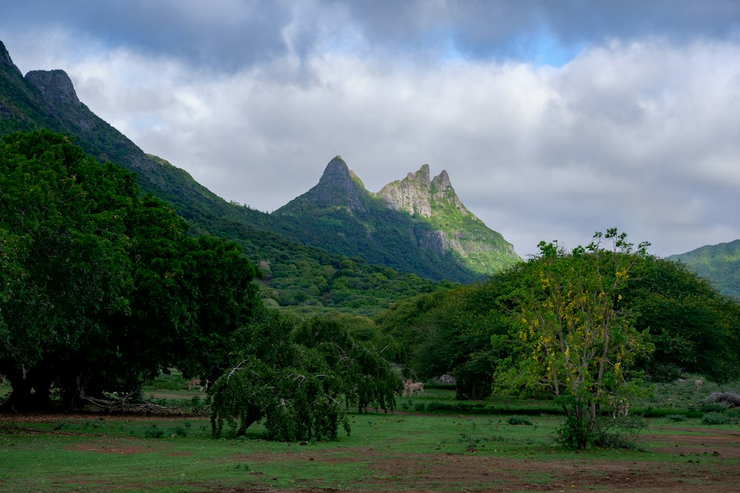 Port Louis in 48 Hours: Your Ultimate Mauritius Capital City Itinerary